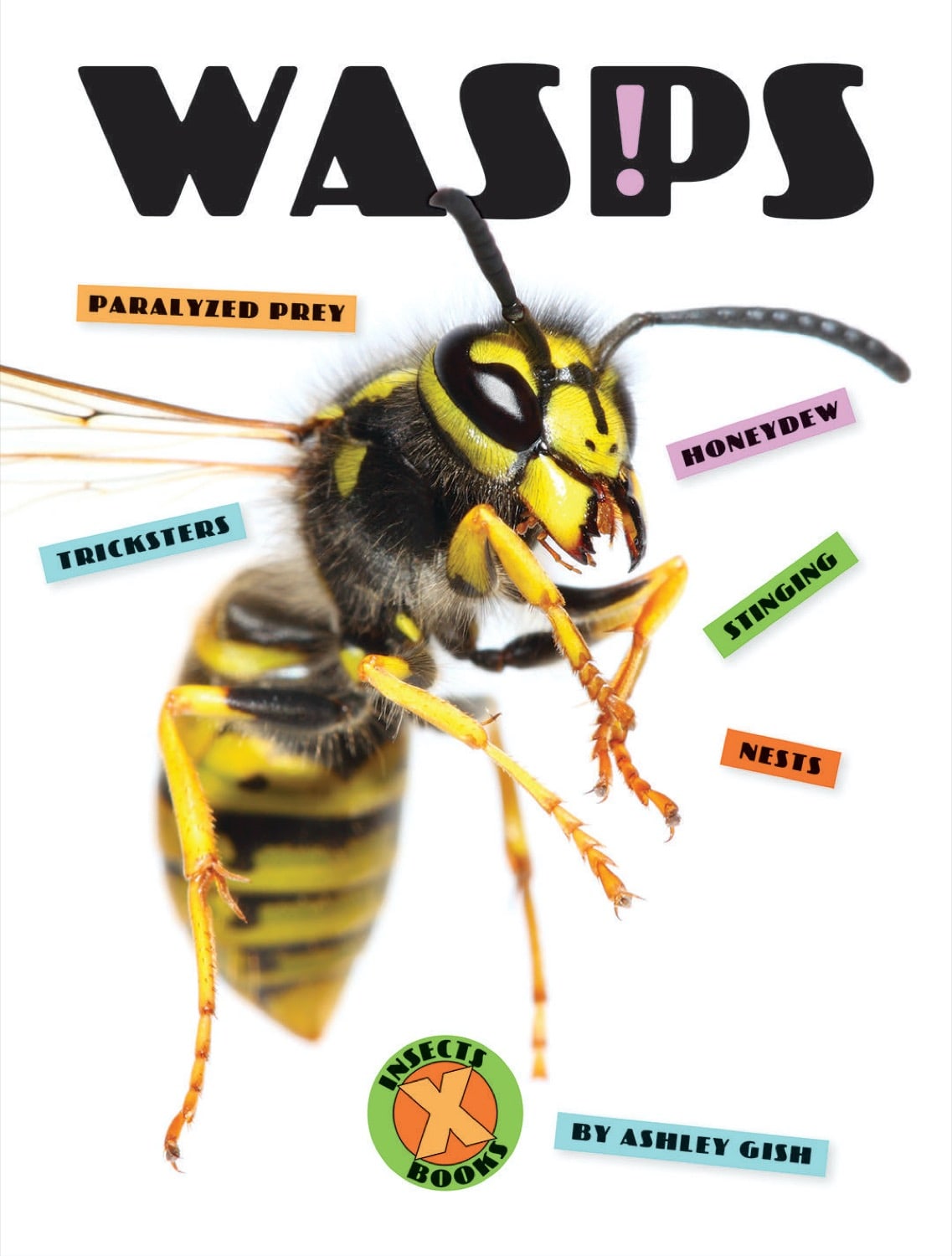 X-Books: Insekten: Wespen