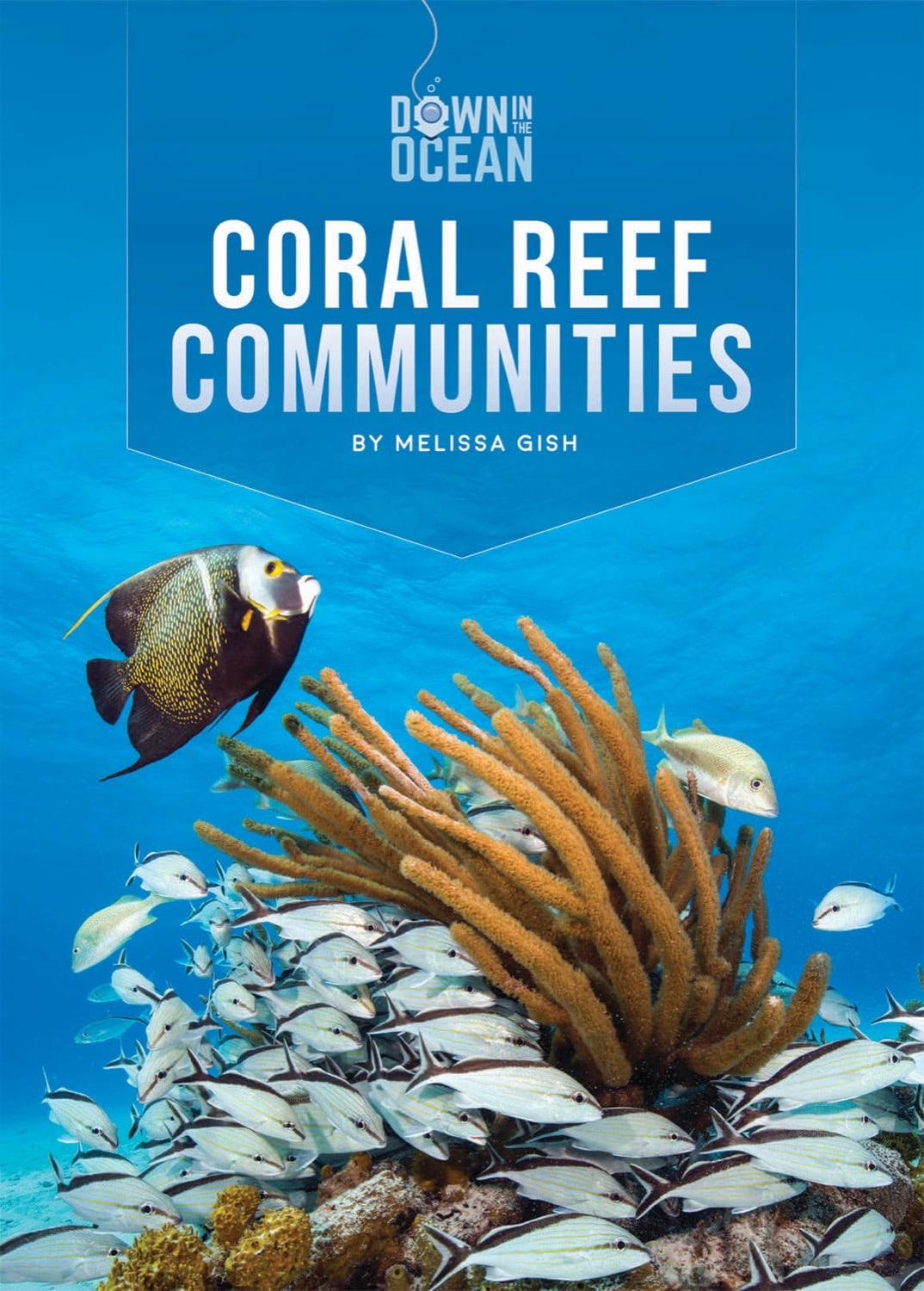 Down in the Ocean: Coral Reef Communities