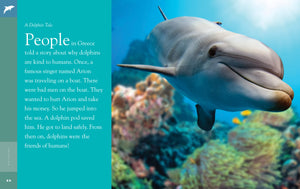 Erstaunliche Tiere (2022): Delfine