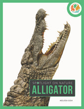 Laden Sie das Bild in den Galerie-Viewer, Die Natur im Rampenlicht: Alligator

