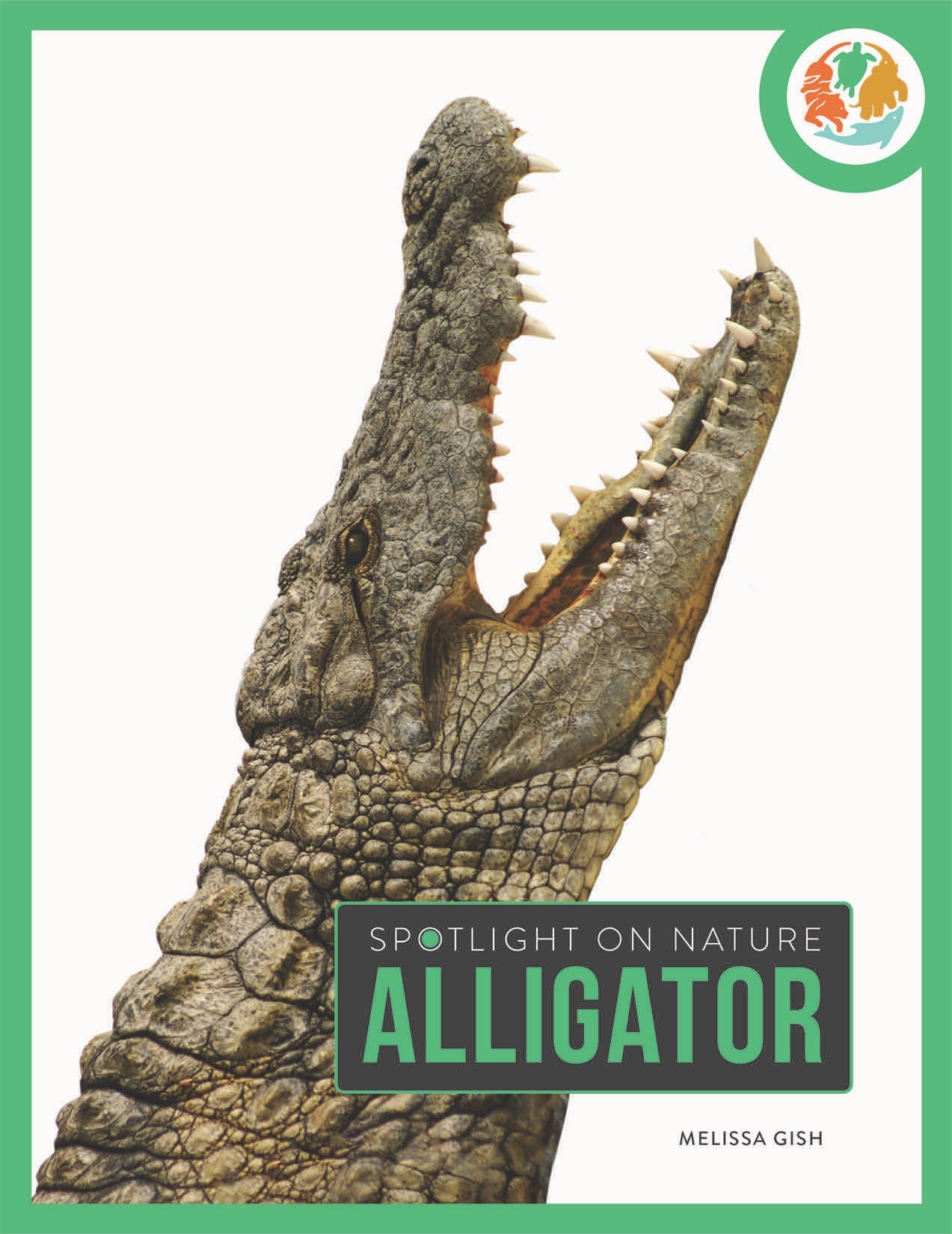 Die Natur im Rampenlicht: Alligator