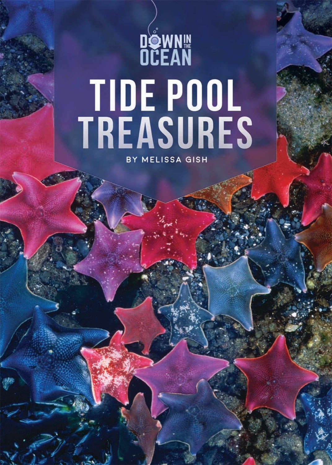 Down in the Ocean: Tide Pool Treasures