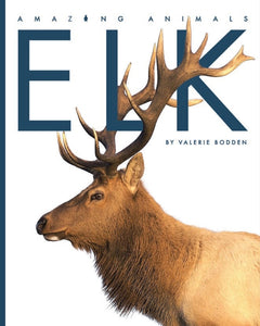 Amazing Animals (2014): Elk