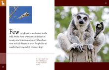 Laden Sie das Bild in den Galerie-Viewer, Amazing Animals (2014): Lemuren
