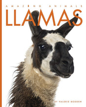Laden Sie das Bild in den Galerie-Viewer, Amazing Animals (2014): Lamas
