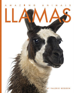 Amazing Animals (2014): Llamas