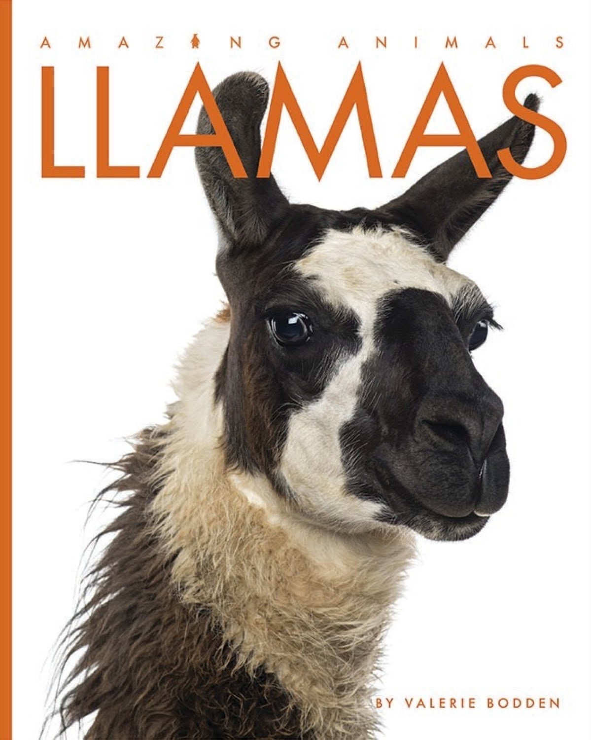 Amazing Animals (2014): Lamas