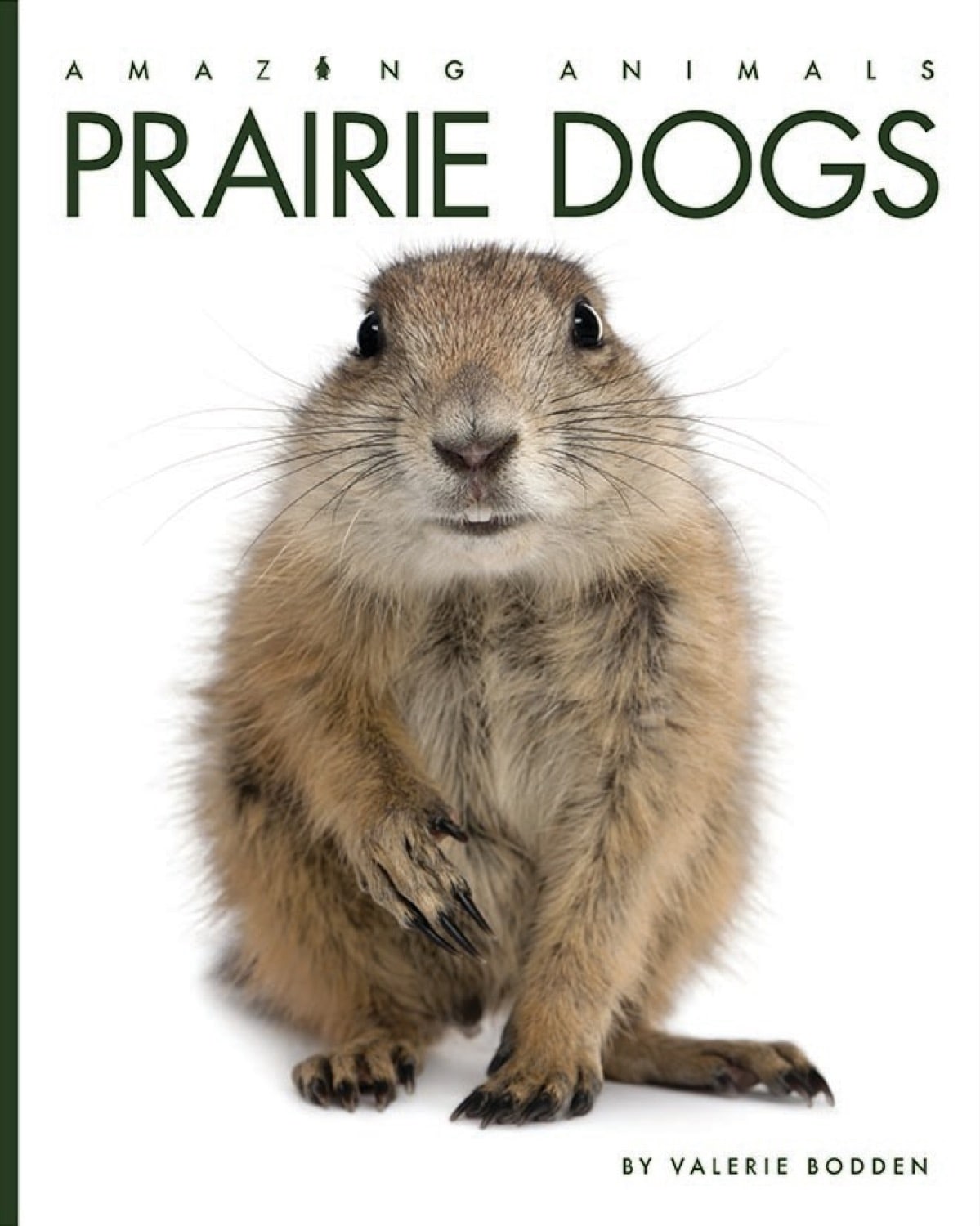 Amazing Animals (2014): Prairie Dogs
