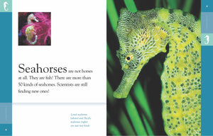 Amazing Animals (2014): Seahorses