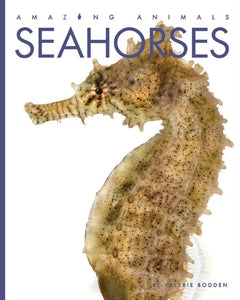 Amazing Animals (2014): Seahorses