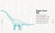 Laden Sie das Bild in den Galerie-Viewer, Dinosauriertage: Brachiosaurus
