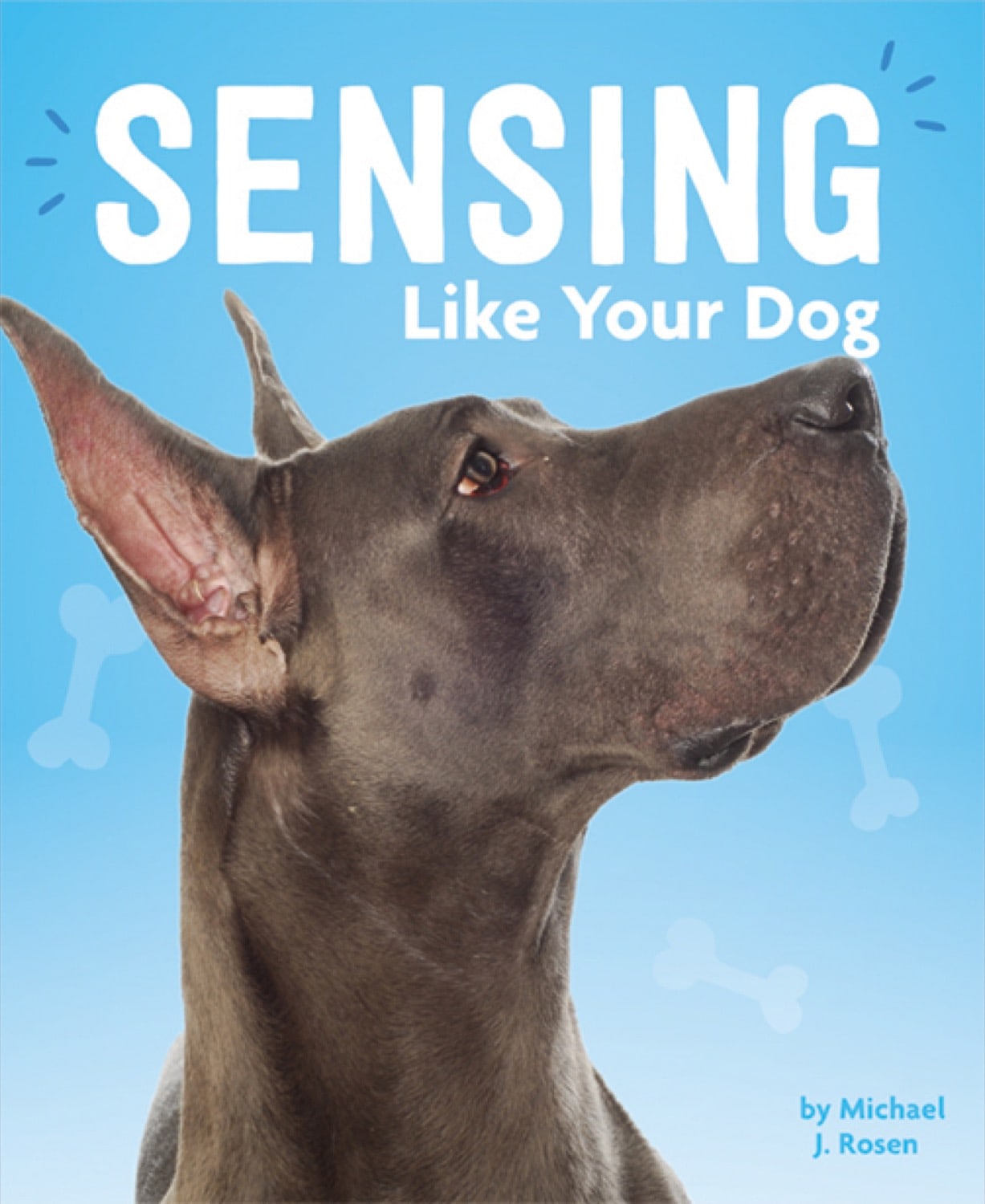Dog's Life, A: Sensing Like Your Dog