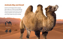 Laden Sie das Bild in den Galerie-Viewer, Ich bin der Größte!: In den Wüsten
