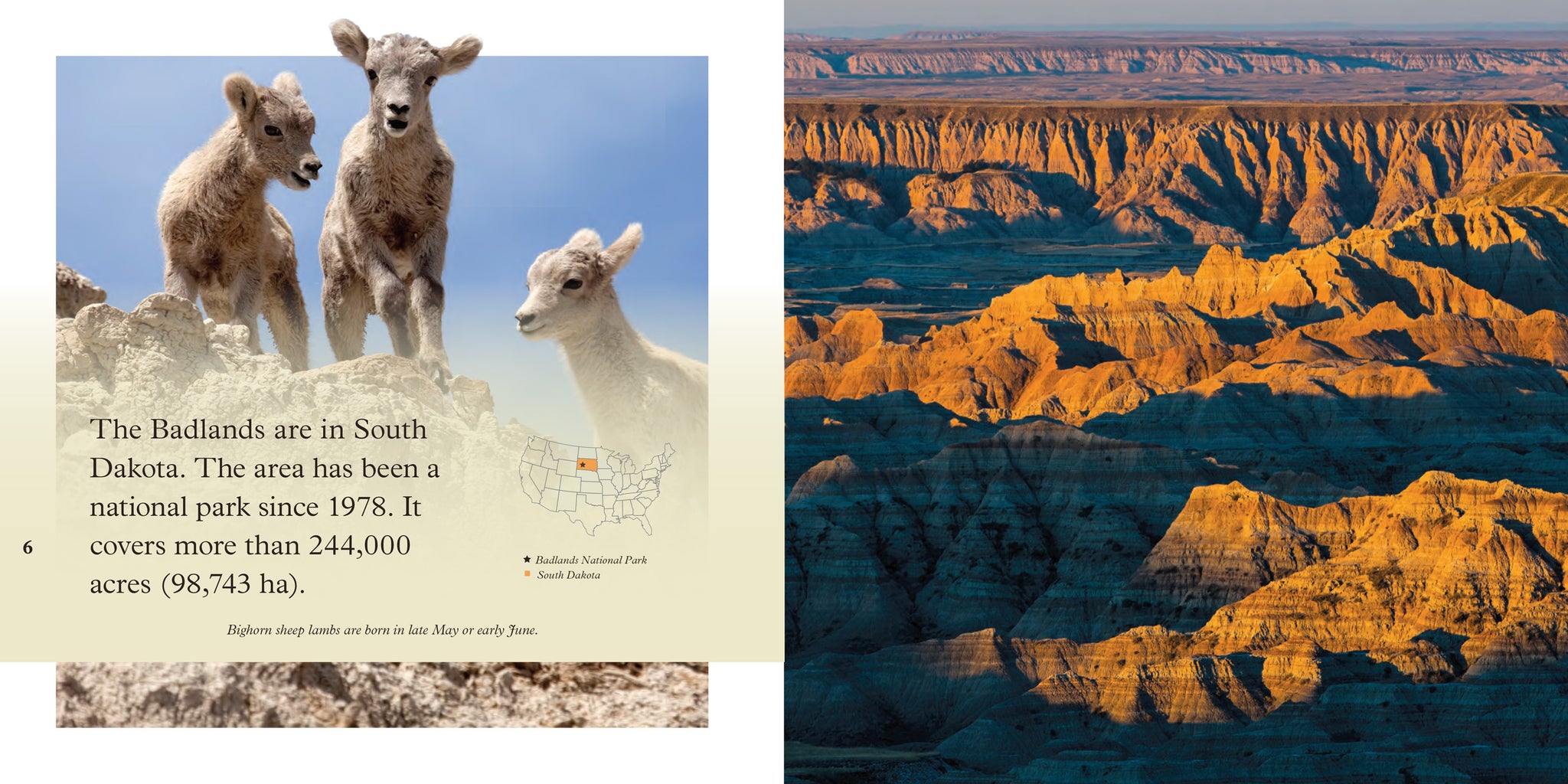Badlands – The Creative Company