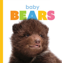 Laden Sie das Bild in den Galerie-Viewer, Der Anfang: Babybären
