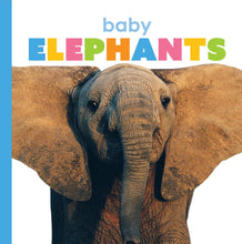 Laden Sie das Bild in den Galerie-Viewer, Der Anfang: Elefantenbabys
