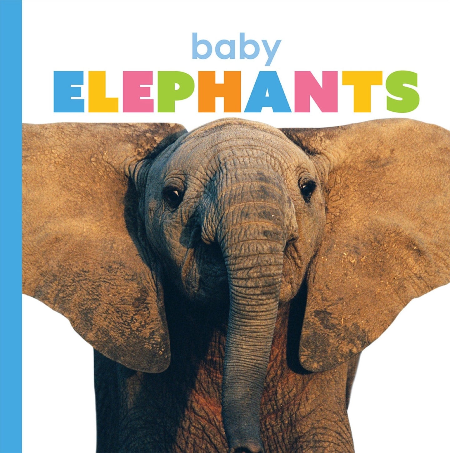 Starting Out: Baby Elephants