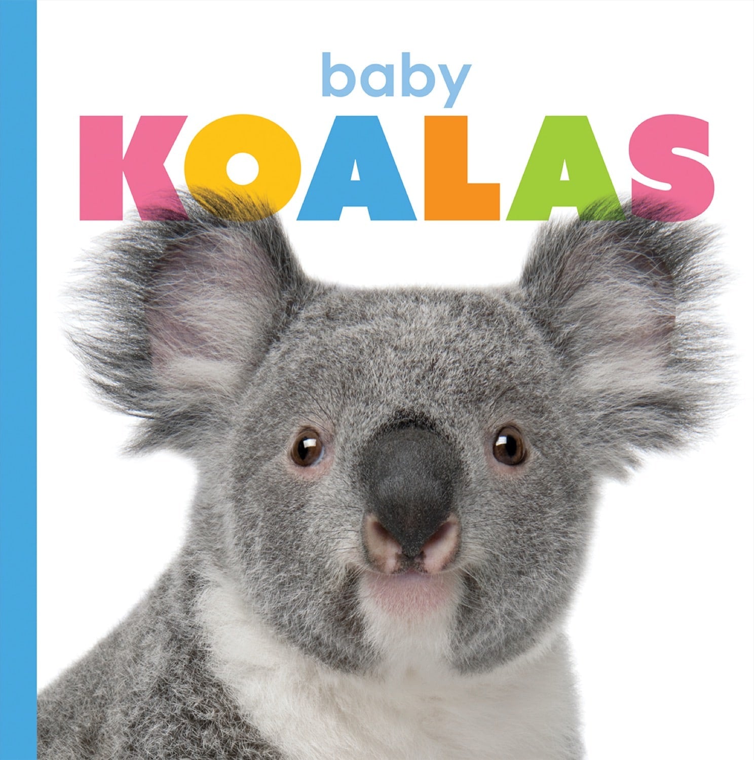 Starting Out: Baby Koalas – The Creative Company Shop