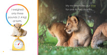 Laden Sie das Bild in den Galerie-Viewer, Der Anfang: Baby-Löwen
