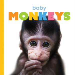 Starting Out: Baby Monkeys