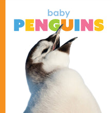 Laden Sie das Bild in den Galerie-Viewer, Der Anfang: Baby-Pinguine
