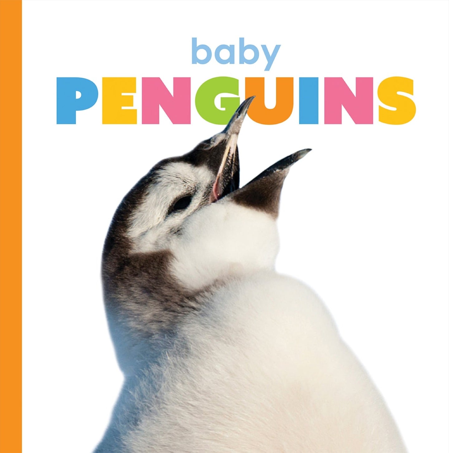 Der Anfang: Baby-Pinguine