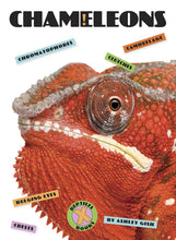 Laden Sie das Bild in den Galerie-Viewer, X-Books: Reptilien: Chamäleons
