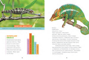 X-Books: Reptiles: Chameleons