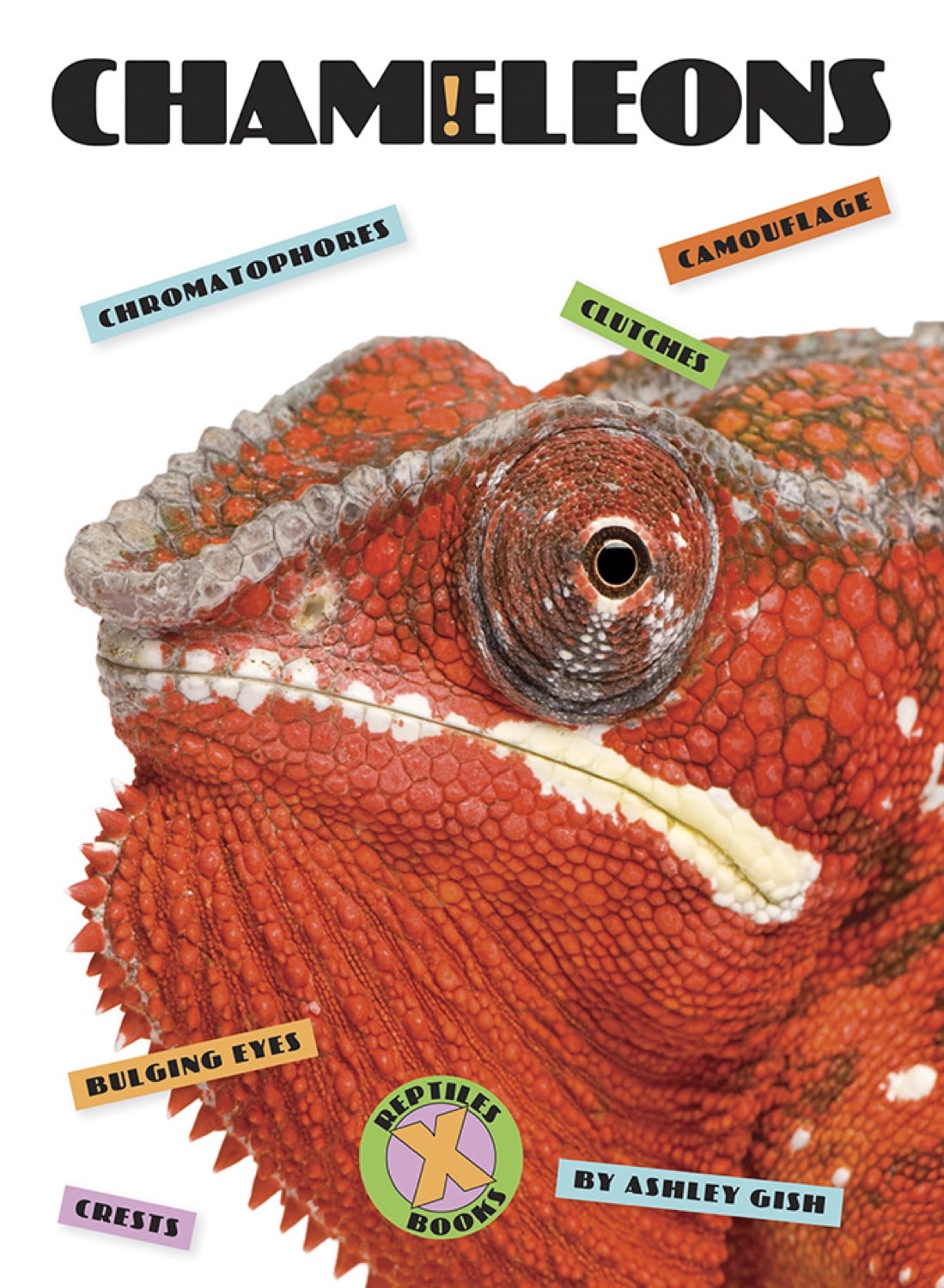 X-Books: Reptiles: Chameleons