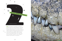 Laden Sie das Bild in den Galerie-Viewer, X-Books: Reptilien: Krokodile
