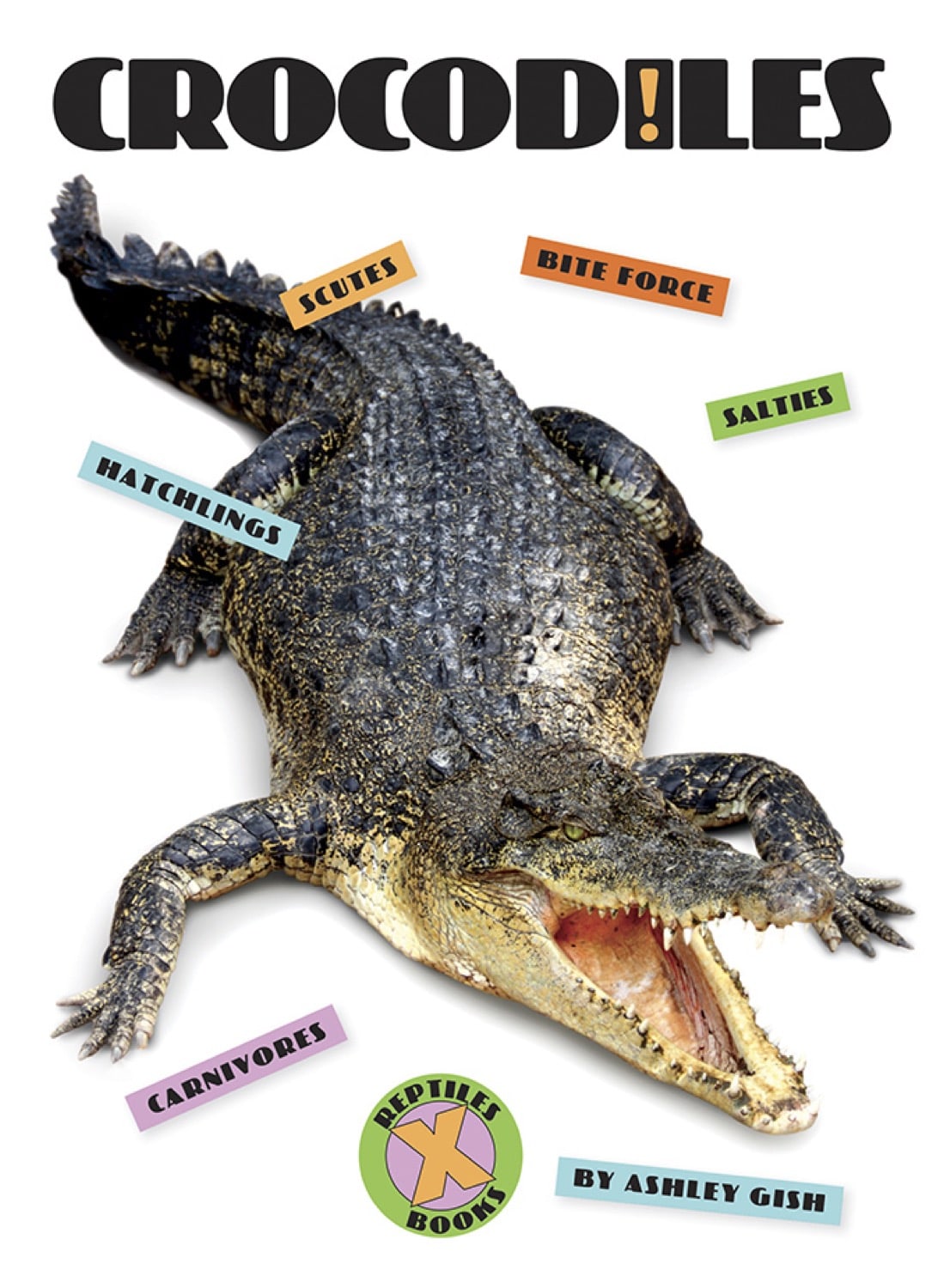 X-Books: Reptilien: Krokodile