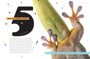X-Books: Reptiles: Geckos