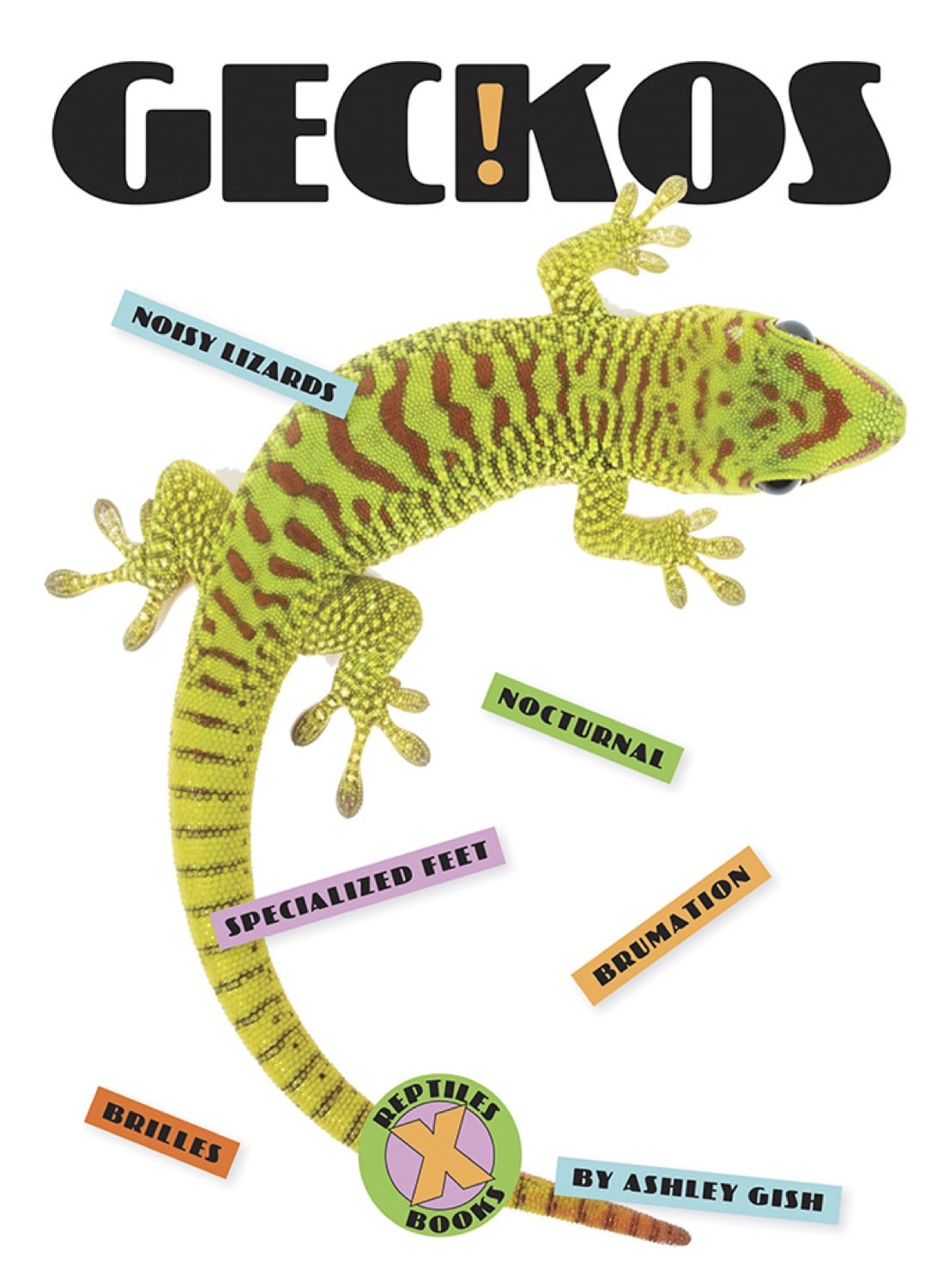 X-Books: Reptiles: Geckos