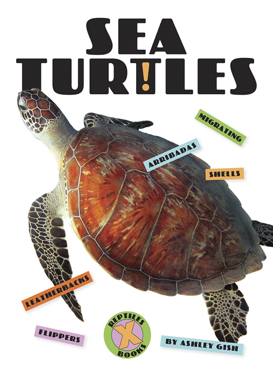 X-Books: Reptiles: Sea Turtles