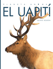 Laden Sie das Bild in den Galerie-Viewer, Planeta animal - Classic Edition: El uapití

