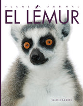 Laden Sie das Bild in den Galerie-Viewer, Planeta animal – Neuauflage: El lémur
