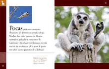 Laden Sie das Bild in den Galerie-Viewer, Planeta animal – Neuauflage: El lémur
