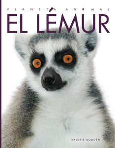 Planeta animal - New Edition: El lémur