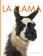 Laden Sie das Bild in den Galerie-Viewer, Planeta-Tier - Classic Edition: La Lama
