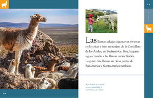 Planeta-Tier - Classic Edition: La Lama