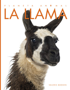 Planeta animal - Classic Edition: La llama