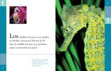 Laden Sie das Bild in den Galerie-Viewer, Planeta animal - Classic Edition: El caballito de mar
