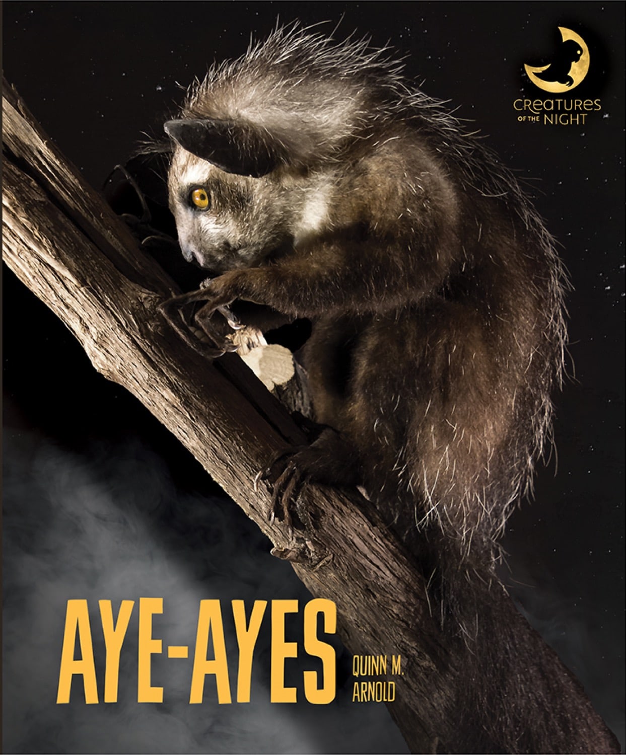Creatures of the Night: Aye-ayes