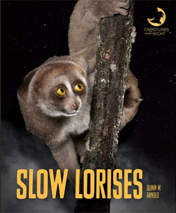 Creatures of the Night: Slow Lorises