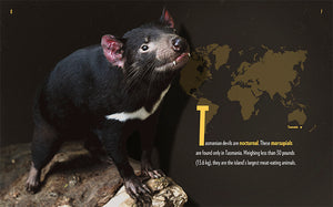 Creatures of the Night: Tasmanian Devils