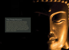 Laden Sie das Bild in den Galerie-Viewer, Odysseeen im Frieden: Gautama Buddha

