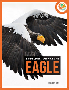 Spotlight on Nature: Eagle