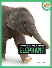Laden Sie das Bild in den Galerie-Viewer, Die Natur im Rampenlicht: Elefant
