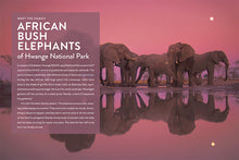 Laden Sie das Bild in den Galerie-Viewer, Die Natur im Rampenlicht: Elefant
