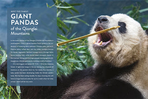 Die Natur im Rampenlicht: Panda